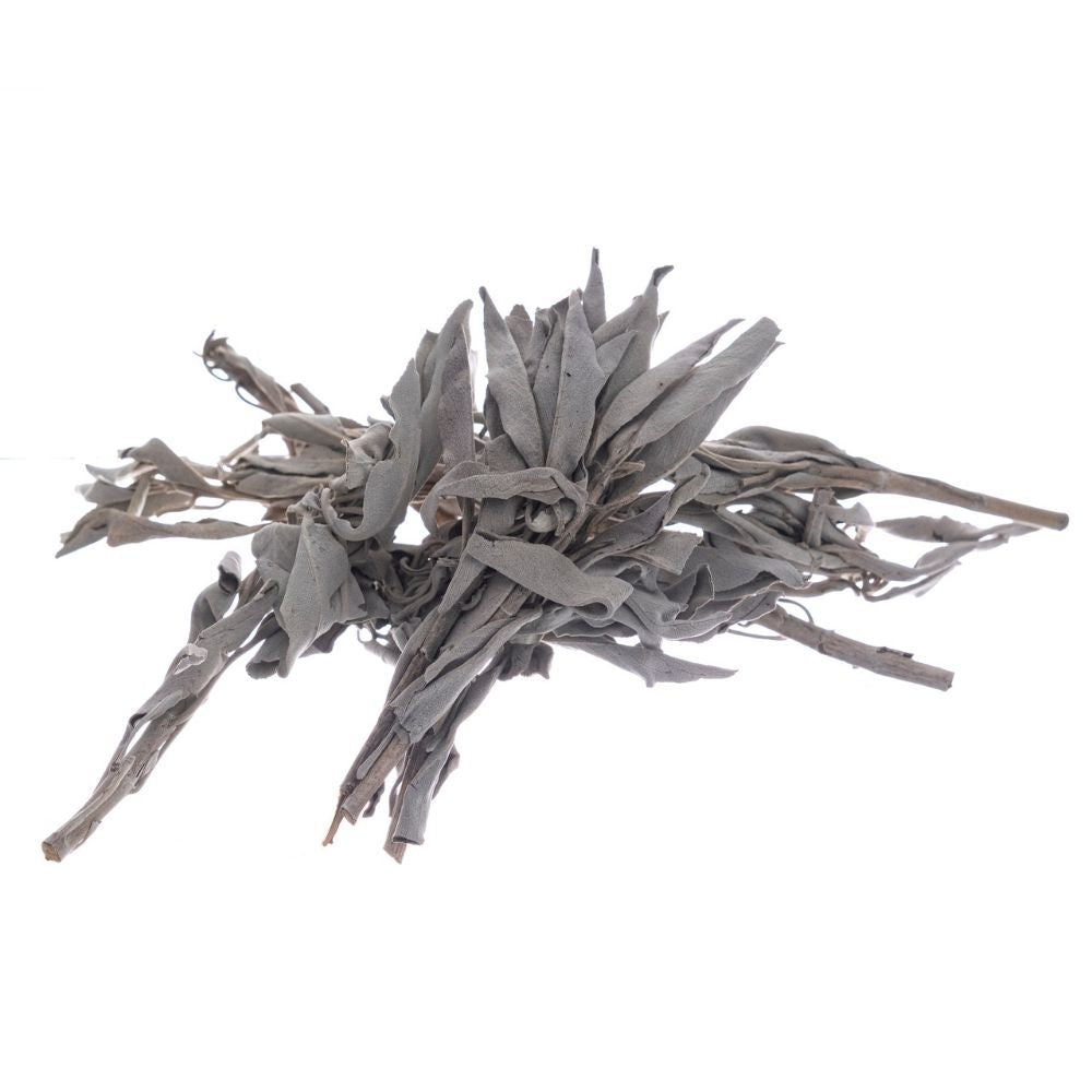 Bilovit - Baltā salvija lapas 50g / Bilovit Baltā salvija lapas - 50 g