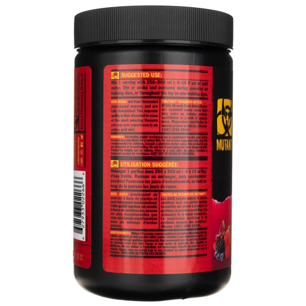 PVL BCAA 9,7, augļu punšs - 348 g