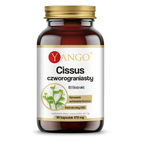 Yango Cissus Quadratus – ekstrakts 10:1 90 kaps.