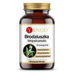 Yango Brodziuszka – Andrographis 90 kaps.
