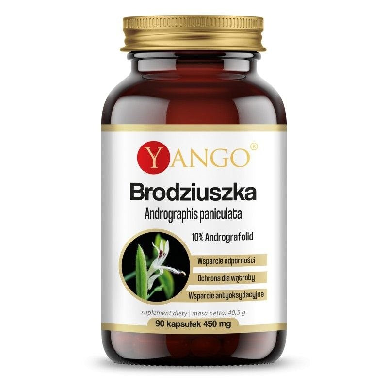 Yango Brodziuszka – Andrographis 90 kaps.
