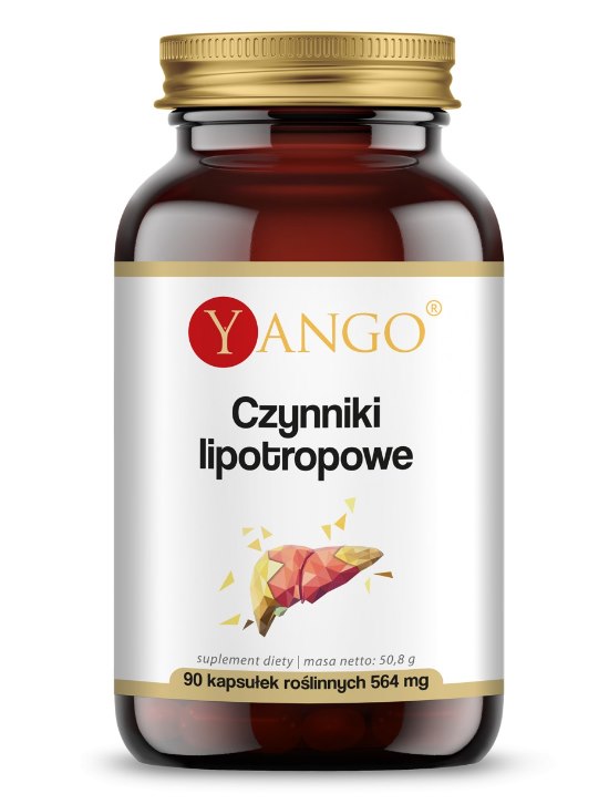 Yango lipotropiskie faktori 90 kapsulas