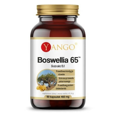 Yango Boswellia 65 90 kapsulas