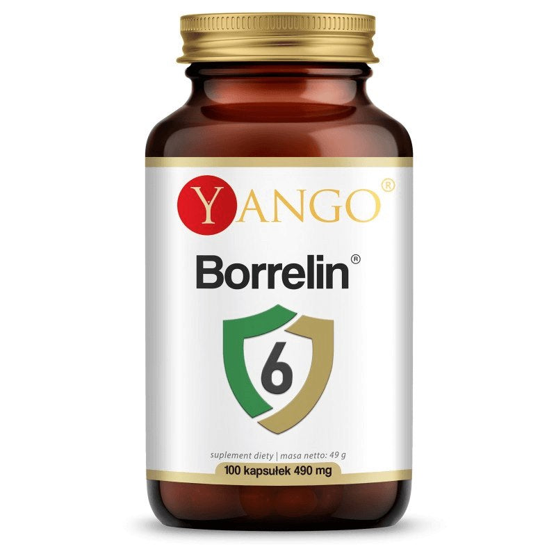 Yango Borrelin 6 100 kaps.
