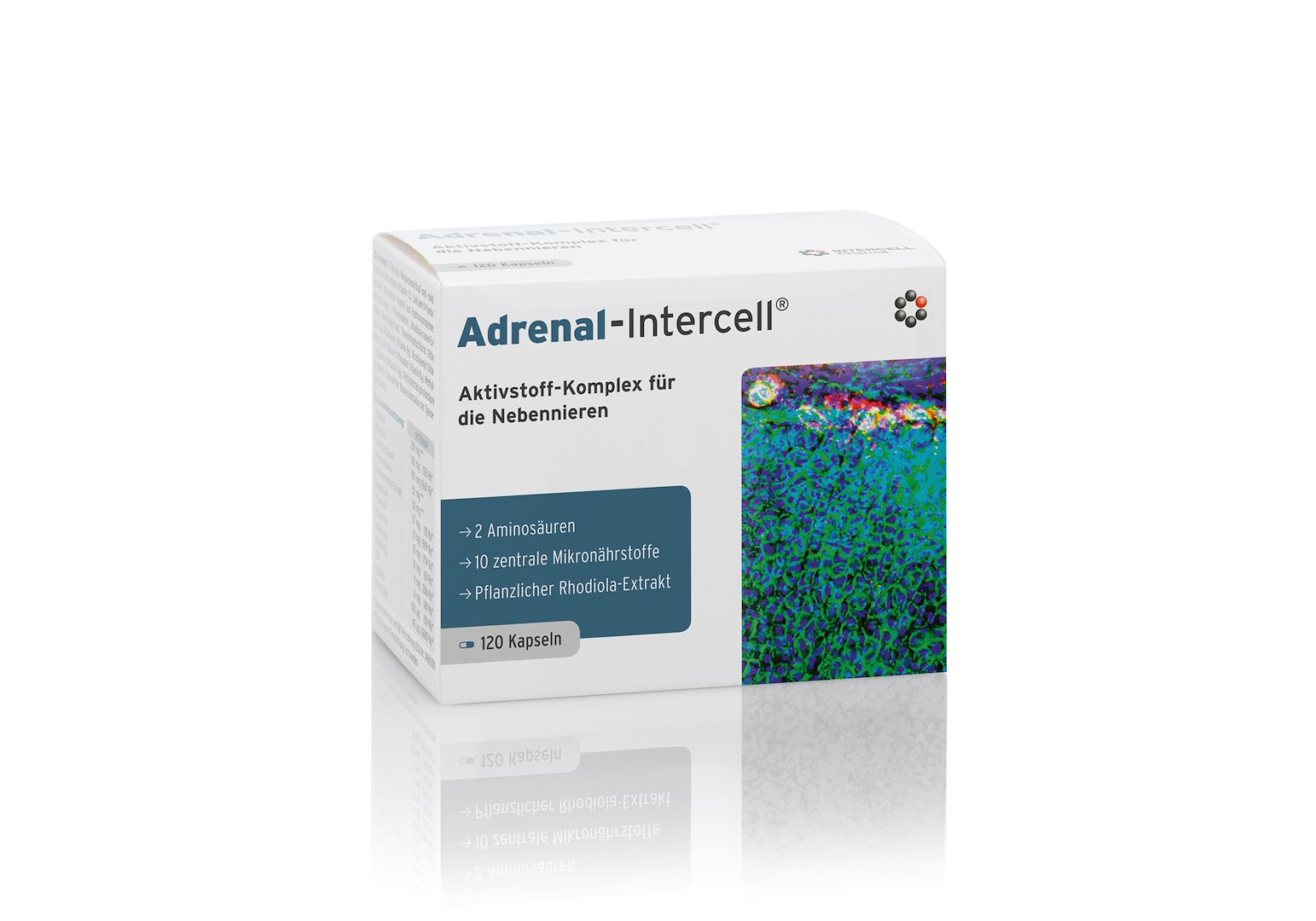 INTERCELL PHARMA Virsnieru dziedzeru - Intercell 120 kapsulas