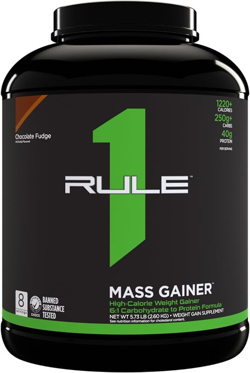 Mass Gainer, Chocolate Fudge - 2600 grams - Rule One