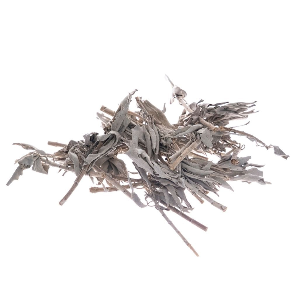 Bilovit - Baltās salvijas lapas 100 g / Bilovit Baltās salvijas lapas - 100 g