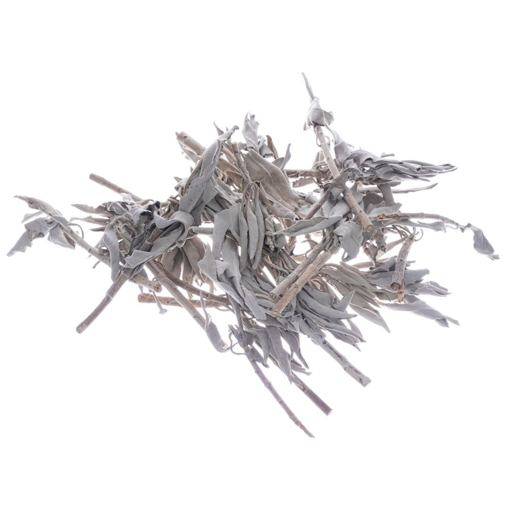 Bilovit - Baltās salvijas lapas 100 g / Bilovit Baltās salvijas lapas - 100 g