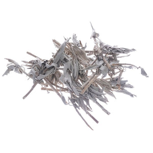 Bilovit - Baltās salvijas lapas 100 g / Bilovit Baltās salvijas lapas - 100 g