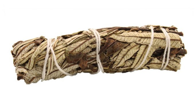 Bilovit dabīgie vīraki - Yerba Santa